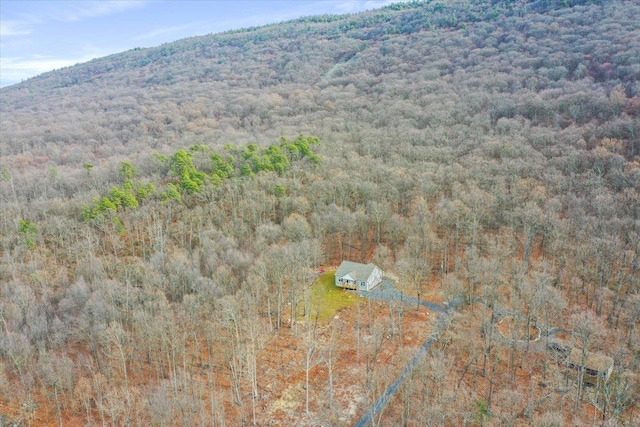 115 Mountain Top Ln, New Market, VA 22844 - drone / aerial view with a mountain view and a forest view