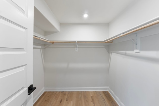 1234 Laconia Ln, Charlottesville, VA 22911 - walk in closet with light wood-style floors