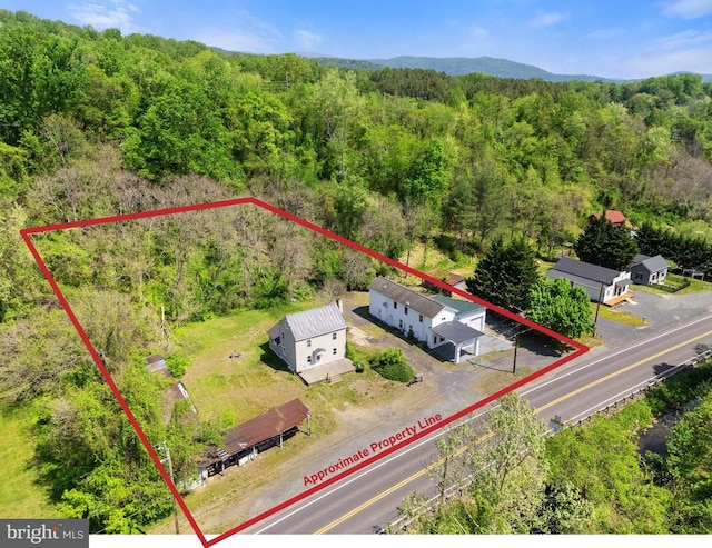 11947 Lee Hwy, Sperryville, VA 22740 - photo 1