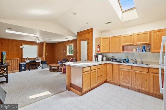 11947 Lee Hwy, Sperryville, VA 22740 - photo 24