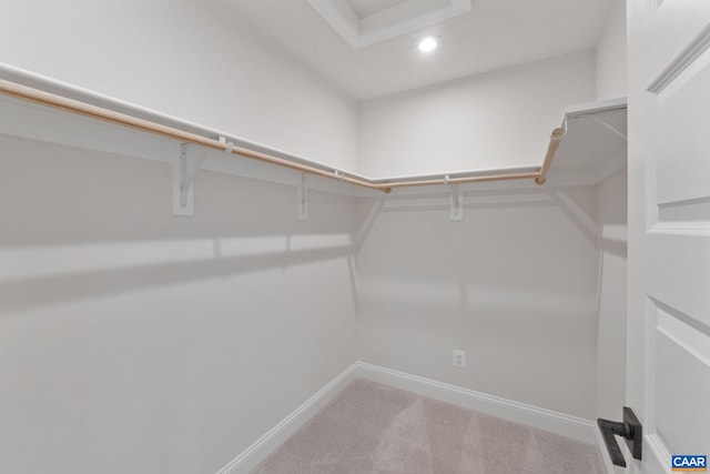 27 Woodburn Rd, Charlottesville, VA 22901 - spacious closet with carpet