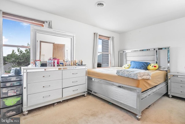 5129 Pecan Dr, Fredericksburg, VA 22407 - bedroom with multiple windows and light carpet