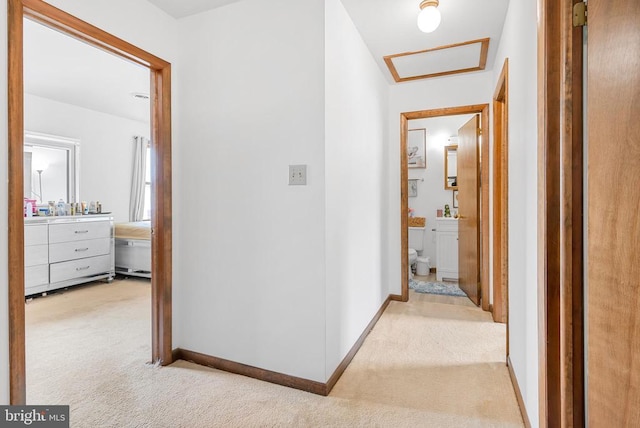 5129 Pecan Dr, Fredericksburg, VA 22407 - corridor with carpet floors, baseboards, and attic access