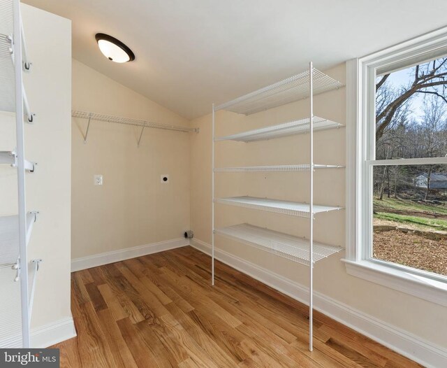 interior space with hardwood / wood-style flooring, plenty of natural light, and electric dryer hookup