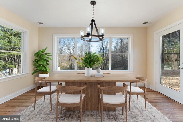 dining room with plenty of natural light, a chandelier, and wood-type flooring