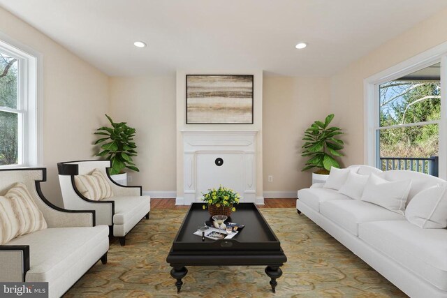 living room featuring hardwood / wood-style flooring