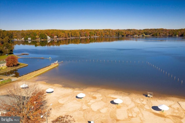 109 Poplar Dr, Louisa, VA 23093 - water view featuring a forest