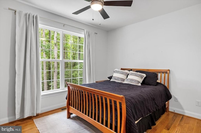 109 Poplar Dr, Louisa, VA 23093 - bedroom featuring wood finished floors, multiple windows, and a ceiling fan