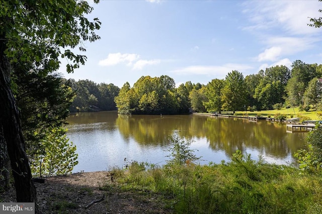 109 Poplar Dr, Louisa, VA 23093 - water view with a forest