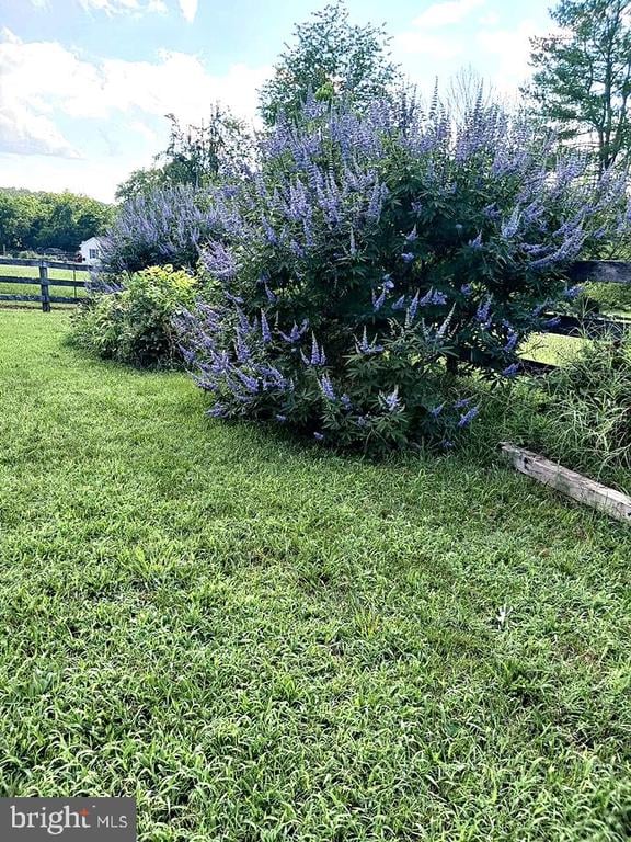 12101 Greenwood Rd, Orange, VA 22960 - photo 34