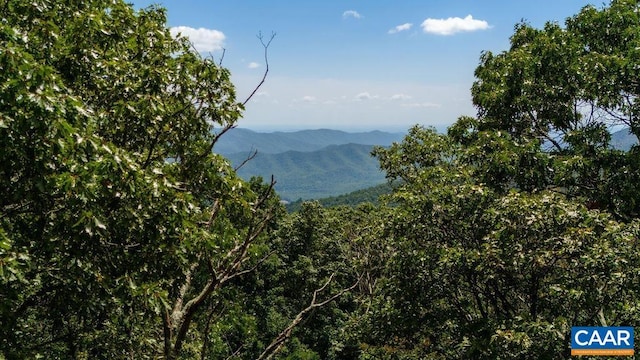 67 Dogwood Rd, Wintergreen Resort, VA 22967