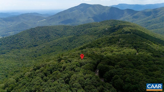 67 Dogwood Rd, Wintergreen Resort, VA 22967