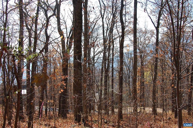 67 Dogwood Rd, Wintergreen Resort, VA 22967