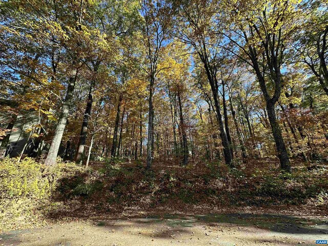 67 Dogwood Rd, Wintergreen Resort, VA 22967