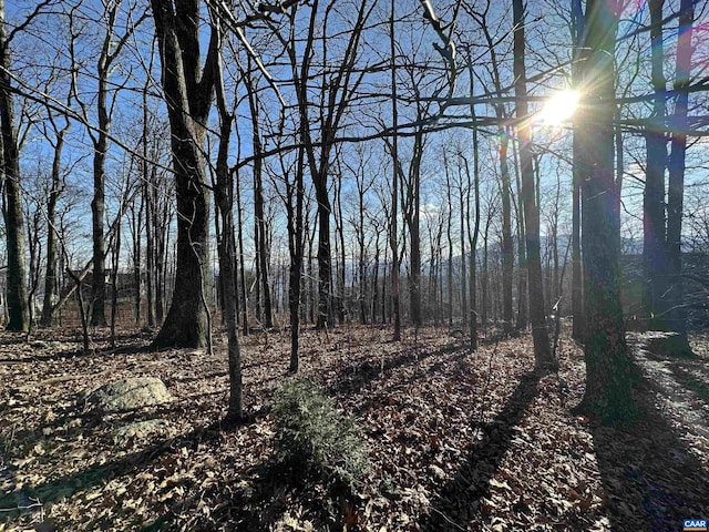 67 Dogwood Rd, Wintergreen Resort, VA 22967