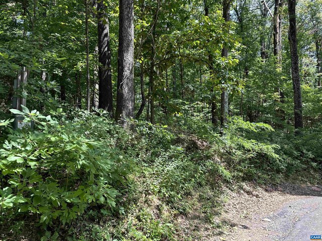 67 Dogwood Rd, Wintergreen Resort, VA 22967