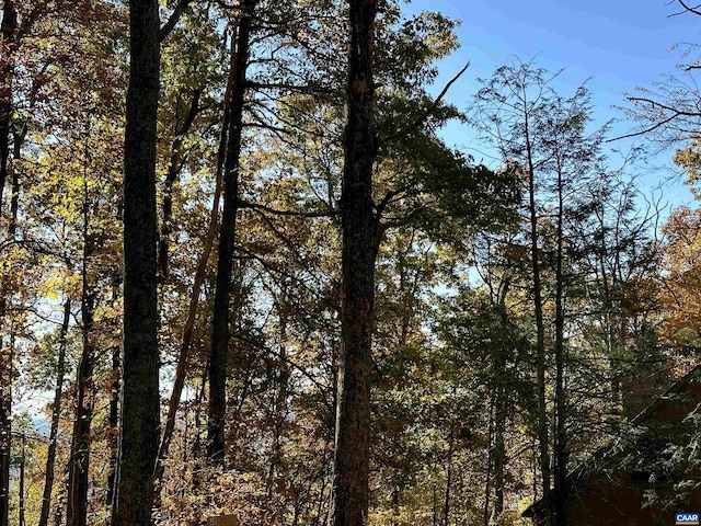 67 Dogwood Rd, Wintergreen Resort, VA 22967