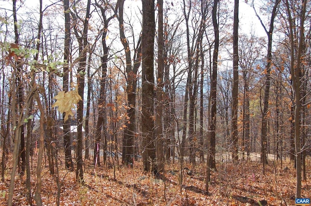67 Dogwood Rd, Wintergreen Resort, VA 22967