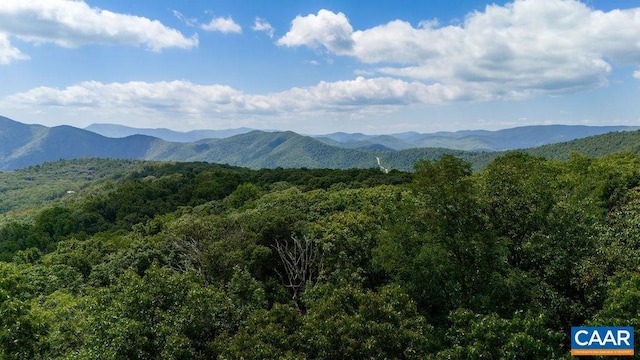 67 Dogwood Rd, Wintergreen Resort, VA 22967