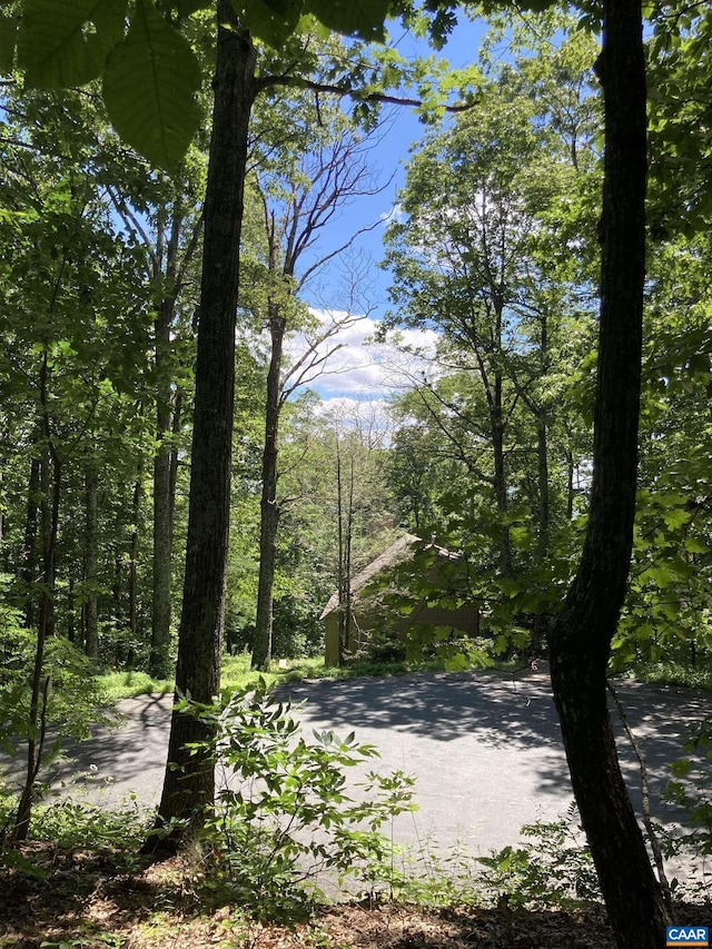 67 Dogwood Rd, Wintergreen Resort, VA 22967
