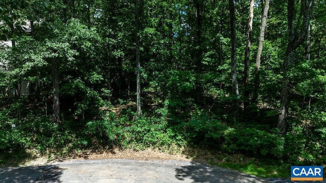 67 Dogwood Rd, Wintergreen Resort, VA 22967
