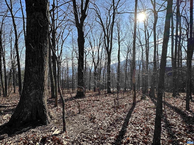 67 Dogwood Rd, Wintergreen Resort, VA 22967