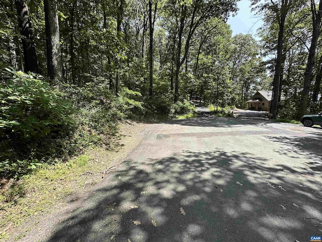 67 Dogwood Rd, Wintergreen Resort, VA 22967