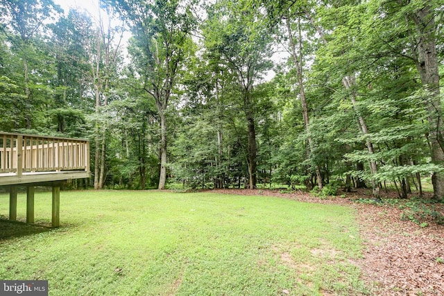 13706 Flank March Ln, Spotsylvania, VA 22551 - photo 26