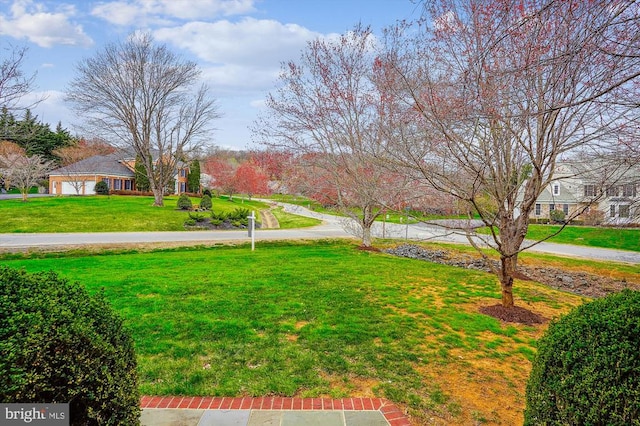 view of grassy yard