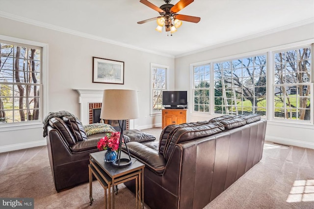 carpeted living room with baseboards, ornamental molding, ceiling fan, and a fireplace