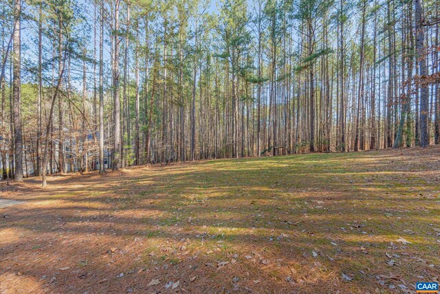 131 Country Creek Way, Palmyra, VA 22963 - photo 54