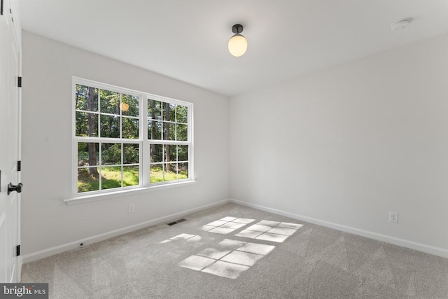 13235 Scotts Mill Dr, Culpeper, VA 22701 - photo 17