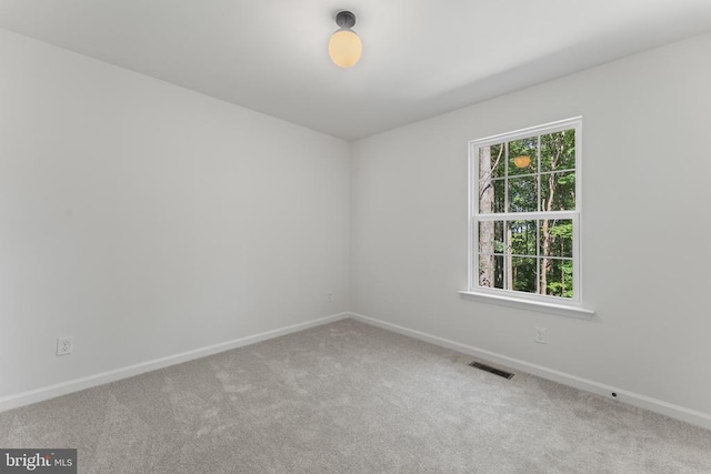 13235 Scotts Mill Dr, Culpeper, VA 22701 - photo 20