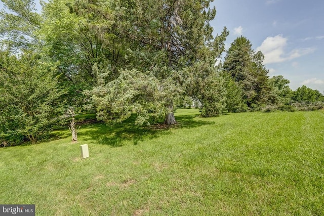 602 1st St E, Mineral, VA 23117 - photo 50