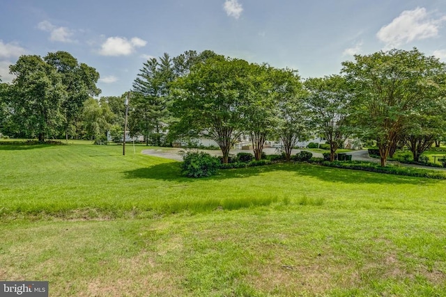 602 1st St E, Mineral, VA 23117 - photo 49