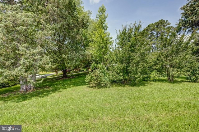 602 1st St E, Mineral, VA 23117 - photo 48