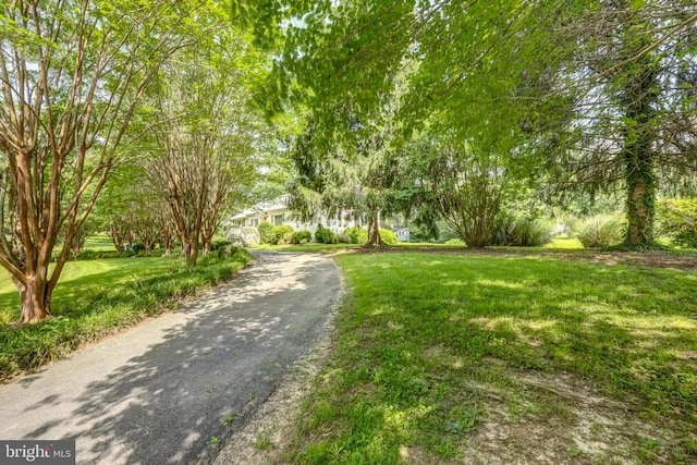602 1st St E, Mineral, VA 23117 - photo 4