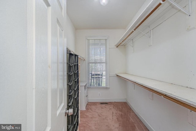 3617 Hidden Acres Way, Partlow, VA 22534 - walk in closet featuring light colored carpet