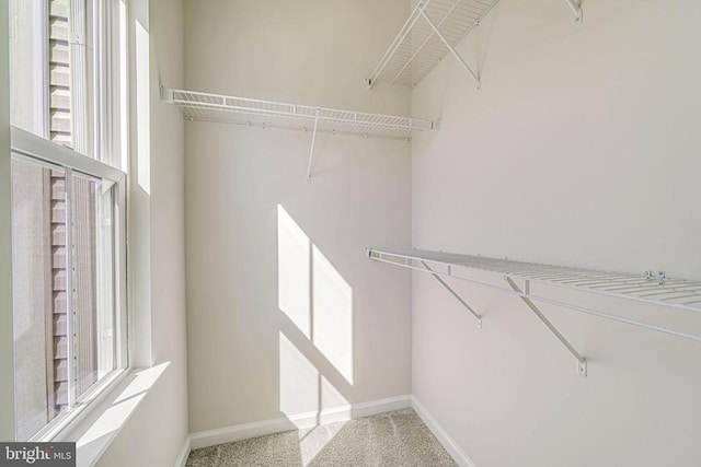 4724 Torrey Ln, Fredericksburg, VA 22408 - spacious closet with carpet flooring