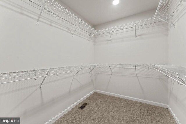 5925 Stubbs Bridge Rd, Mineral, VA 23117 - spacious closet with carpet