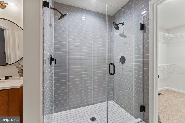 5925 Stubbs Bridge Rd, Mineral, VA 23117 - bathroom featuring a shower stall, vanity, and a walk in closet