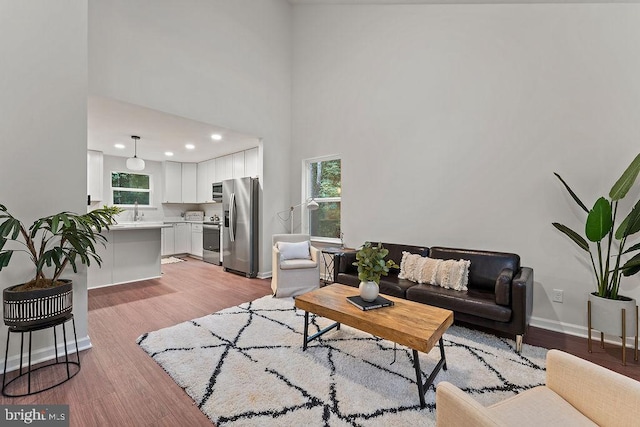5925 Stubbs Bridge Rd, Mineral, VA 23117 - living area featuring light wood-style flooring, a towering ceiling, and recessed lighting