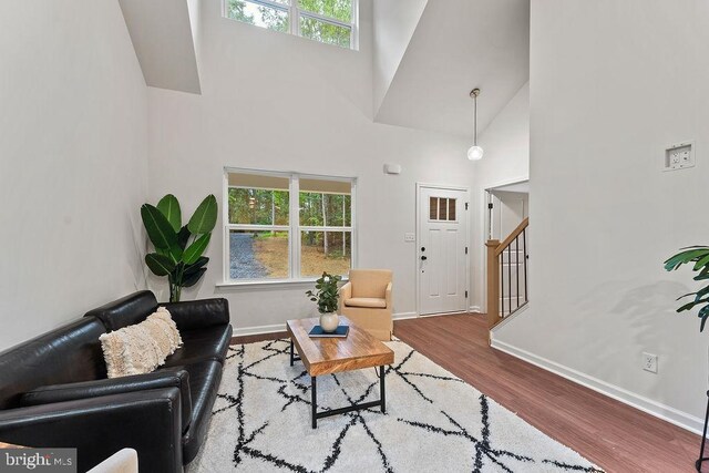 5925 Stubbs Bridge Rd, Mineral, VA 23117 - living area with high vaulted ceiling, healthy amount of natural light, stairs, and wood finished floors