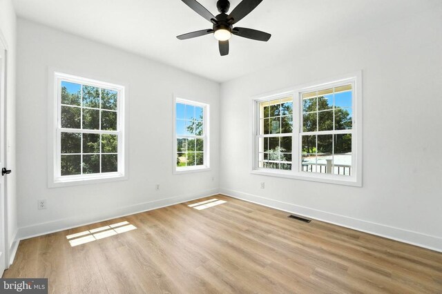 10446 Cherry Hill Rd, Culpeper, VA 22701 - photo 26