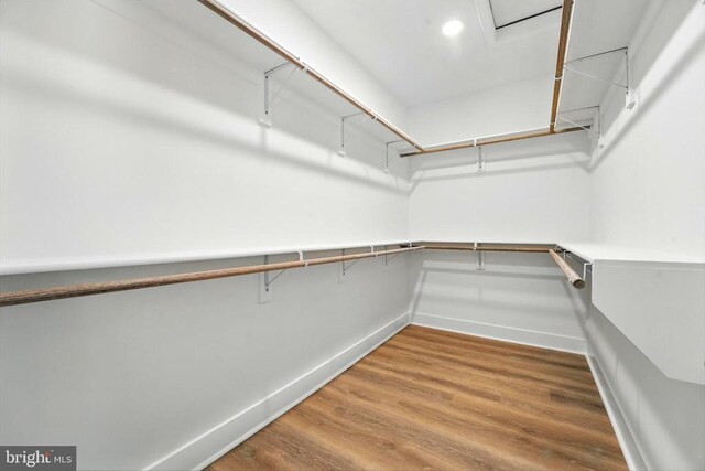 10446 Cherry Hill Rd, Culpeper, VA 22701 - photo 33