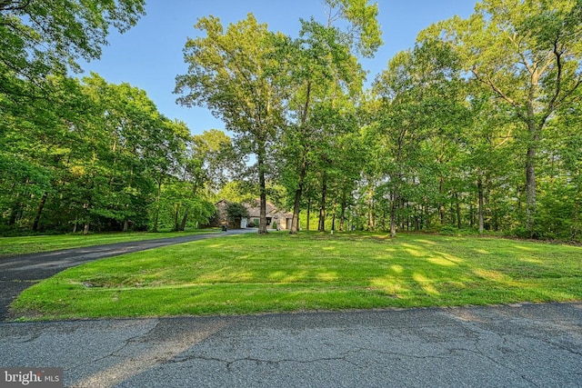 520 Oak Grove Dr, Mineral, VA 23117 - view of grassy yard featuring asphalt driveway