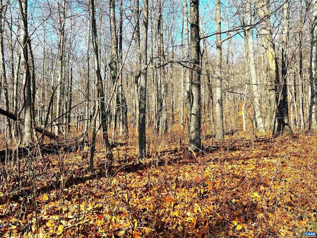 107 Firtree Dr, Wintergreen Resort, VA 22967
