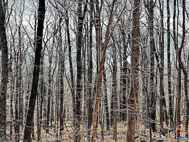 107 Firtree Dr, Wintergreen Resort, VA 22967