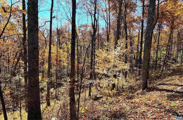 107 Firtree Dr, Wintergreen Resort, VA 22967