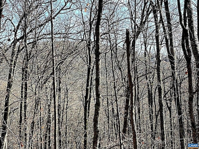 107 Firtree Dr, Wintergreen Resort, VA 22967